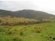 Wauchope NSW 2446