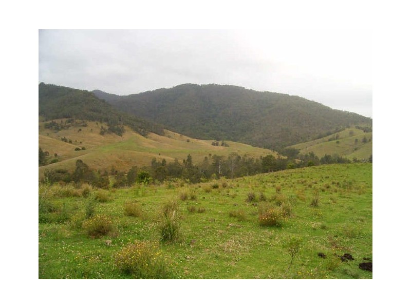 Wauchope NSW 2446