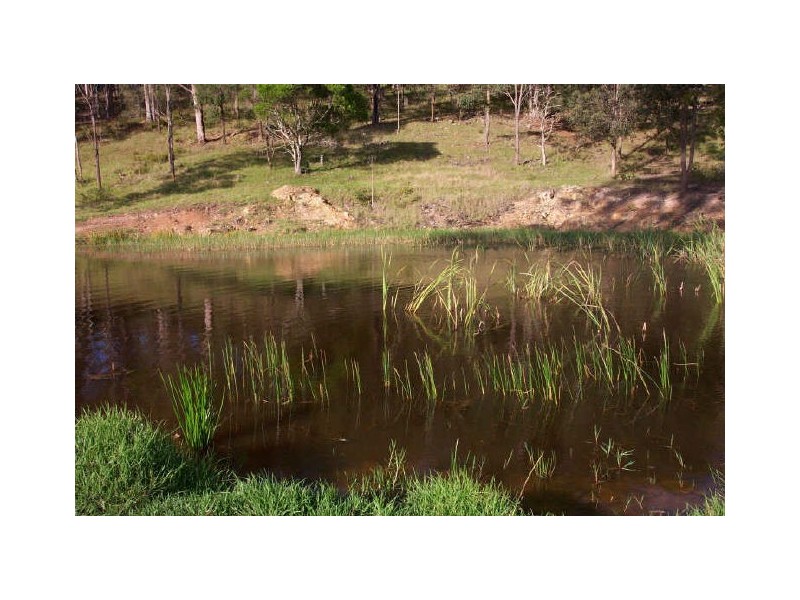 Burrell Creek NSW 2429