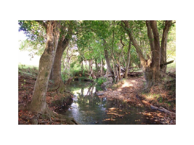 Burrell Creek NSW 2429