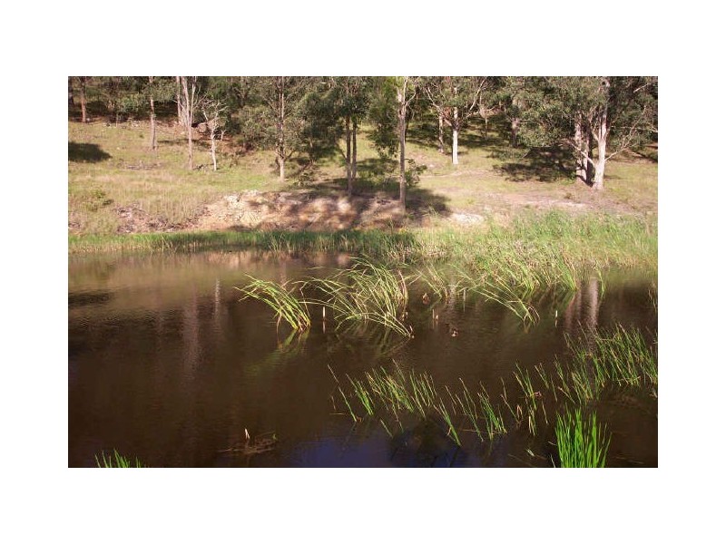 Burrell Creek NSW 2429