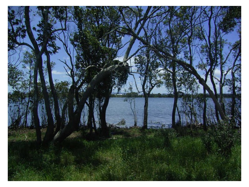 Pampoolah NSW 2430
