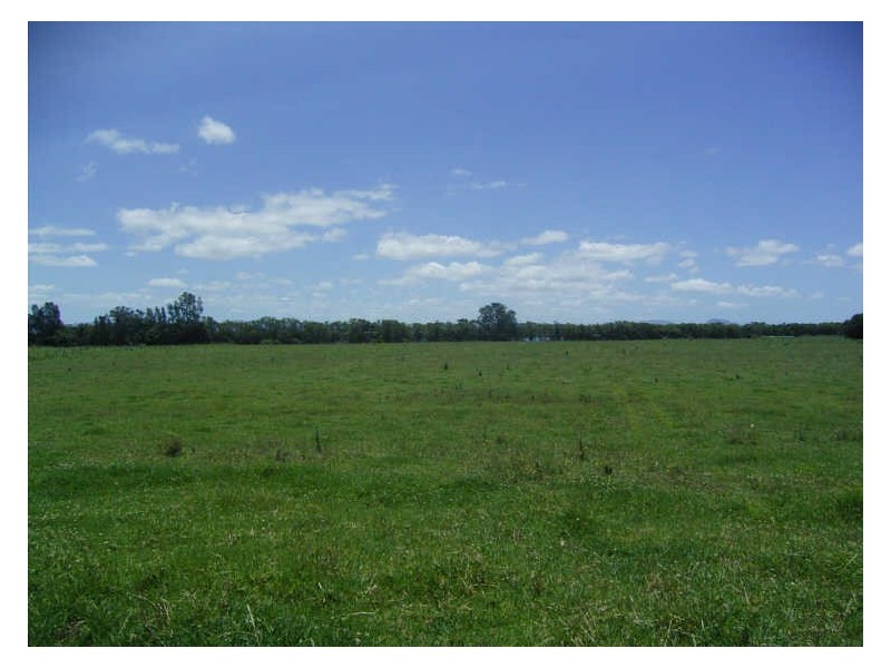 Pampoolah NSW 2430