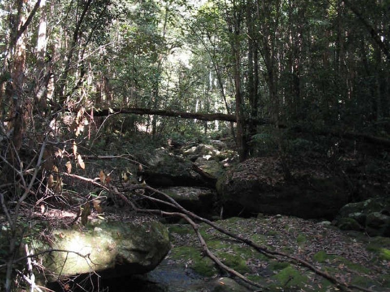 Hannam Vale NSW 2443