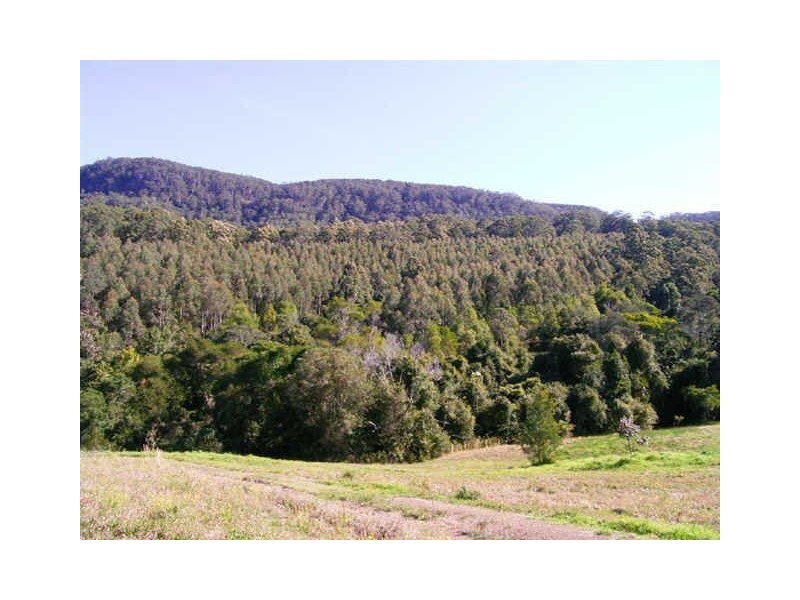 Hannam Vale NSW 2443