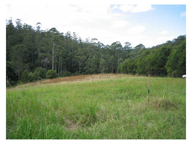 Hannam Vale NSW 2443