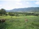 Mount George NSW 2424