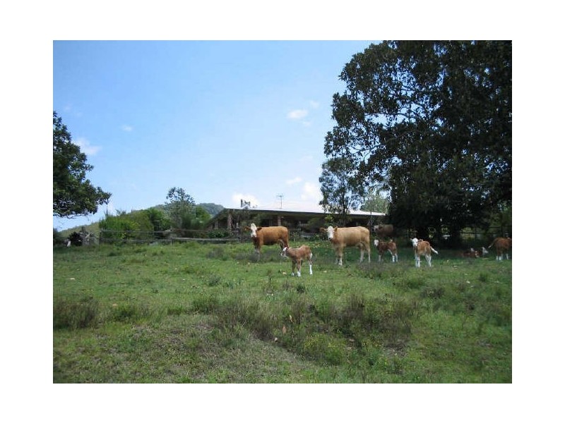 Mount George NSW 2424