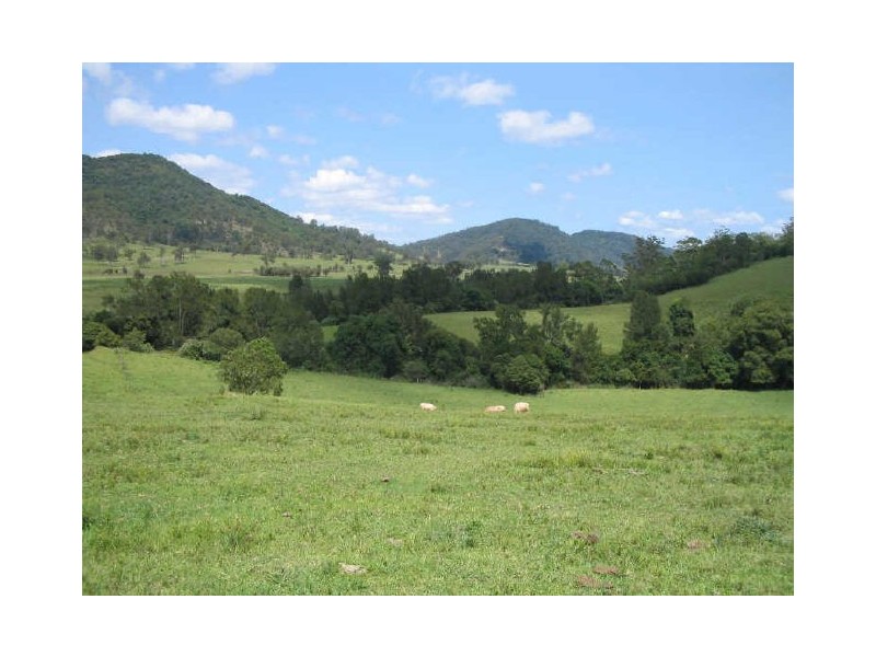 Mount George NSW 2424