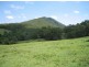 Mount George NSW 2424