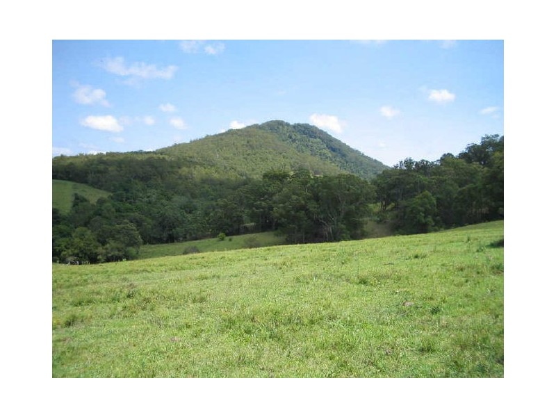 Mount George NSW 2424