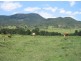 Mount George NSW 2424