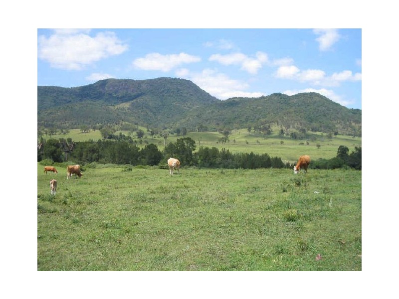 Mount George NSW 2424