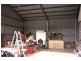 Wingham NSW 2429