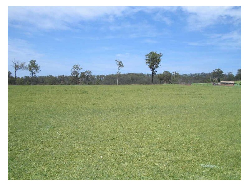 Mondrook NSW 2430