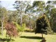 Elands NSW 2429