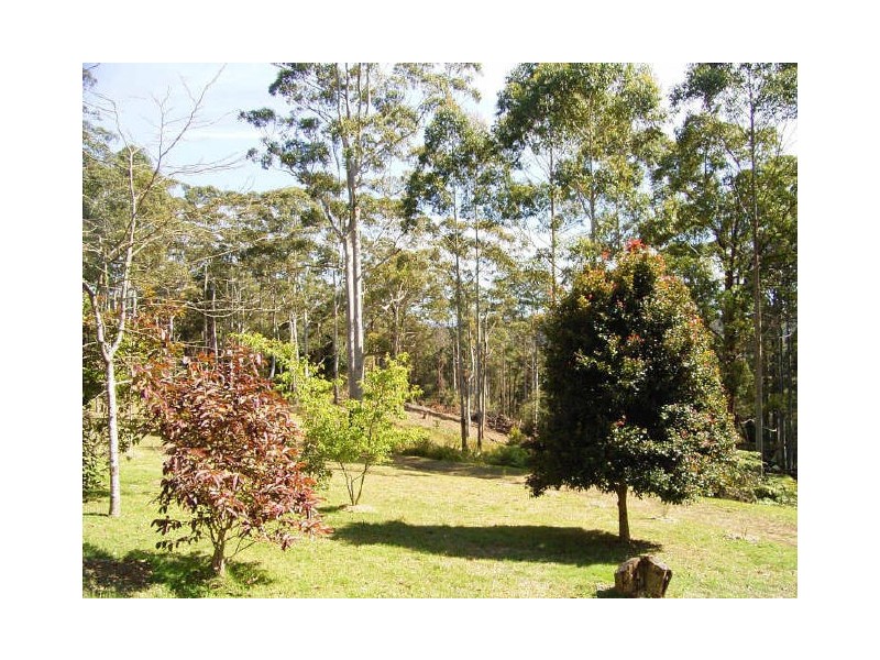 Elands NSW 2429