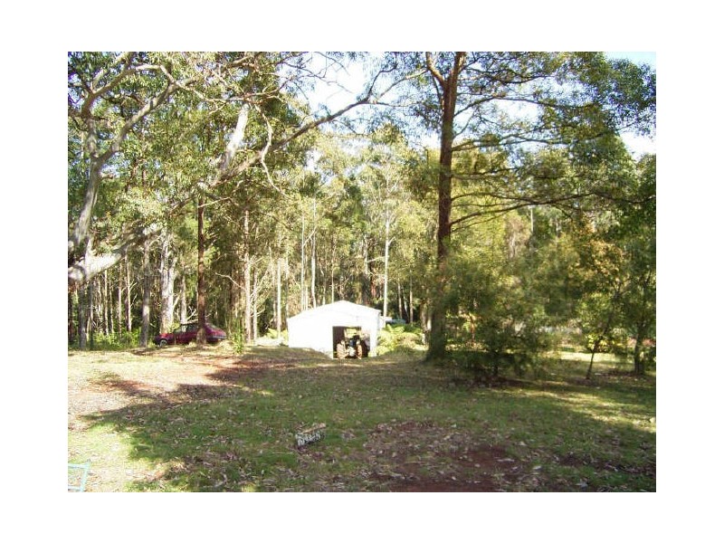 Elands NSW 2429