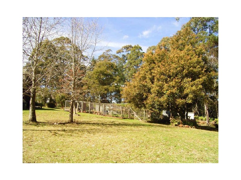 Elands NSW 2429