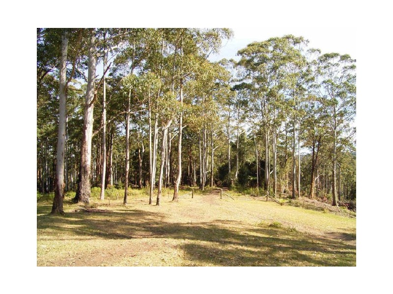 Elands NSW 2429