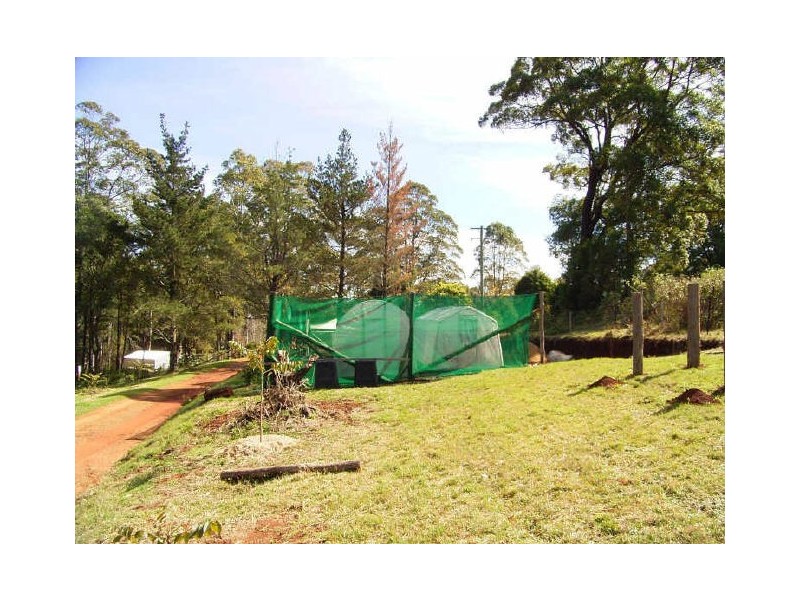 Elands NSW 2429