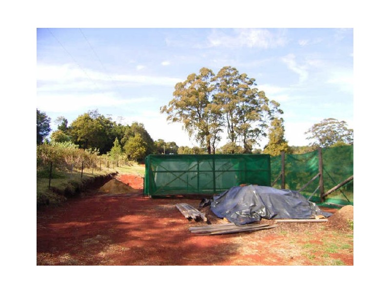 Elands NSW 2429