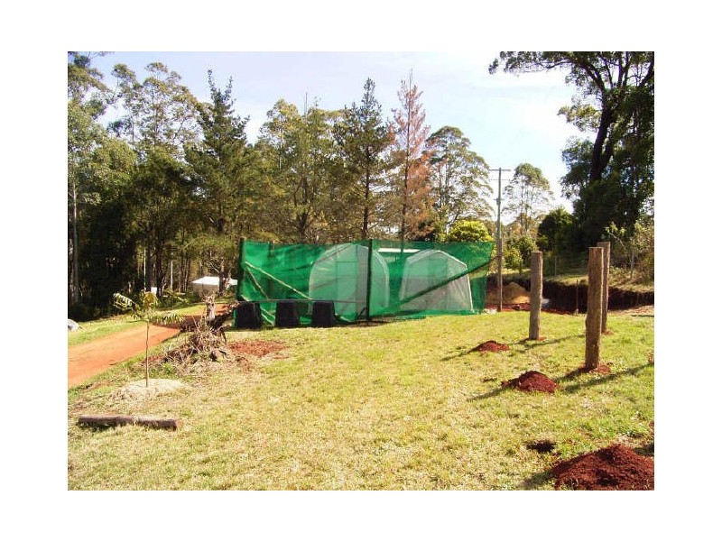 Elands NSW 2429
