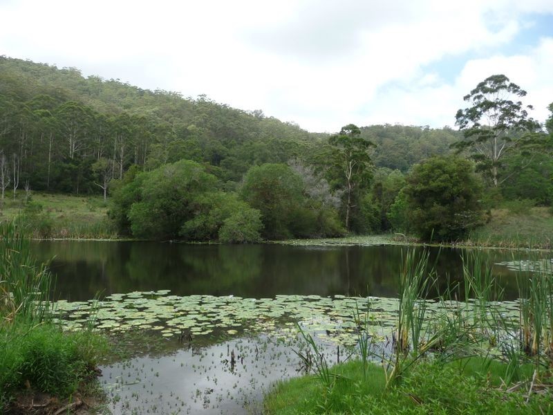 Hannam Vale NSW 2443