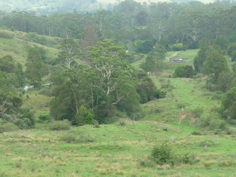 Hannam Vale NSW 2443