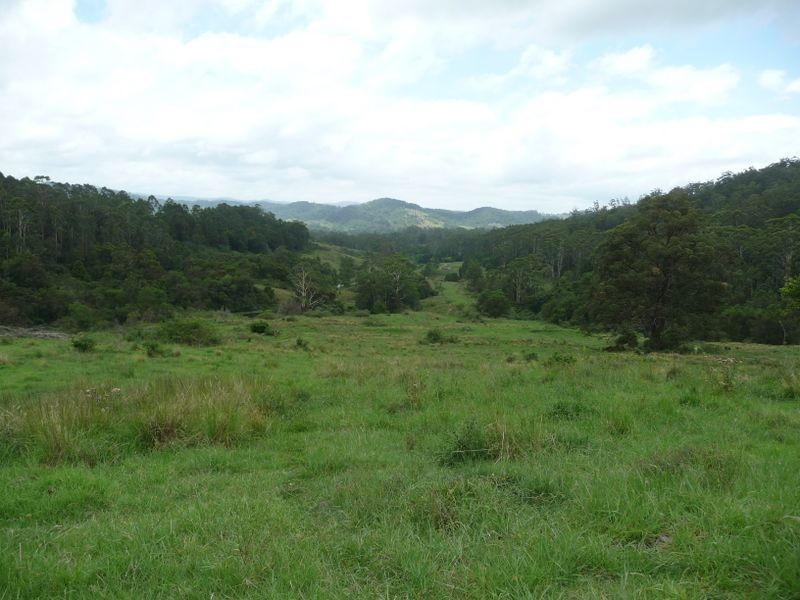 Hannam Vale NSW 2443