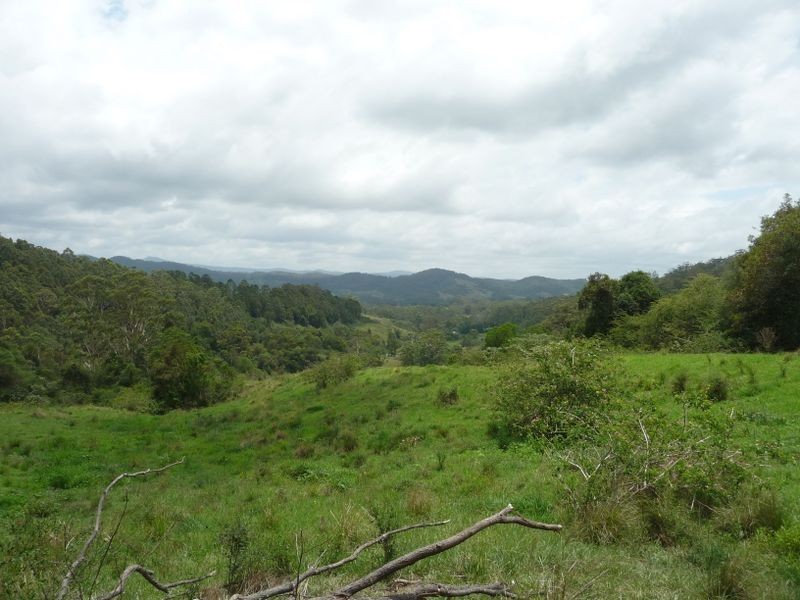Hannam Vale NSW 2443