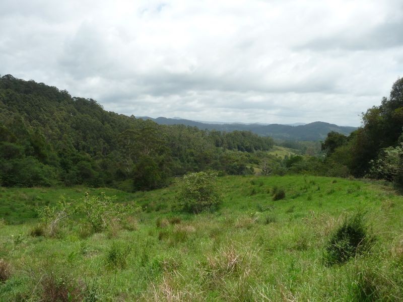 Hannam Vale NSW 2443