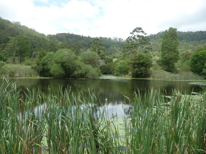 Hannam Vale NSW 2443