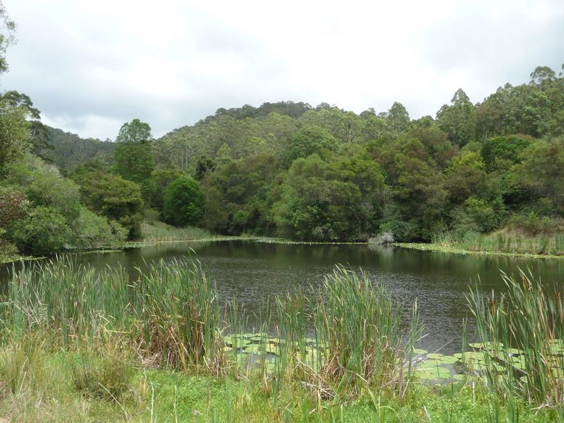 Hannam Vale NSW 2443