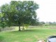 Wingham NSW 2429