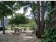Wingham NSW 2429