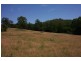 Elands NSW 2429
