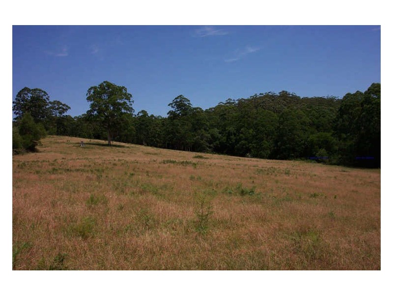 Elands NSW 2429