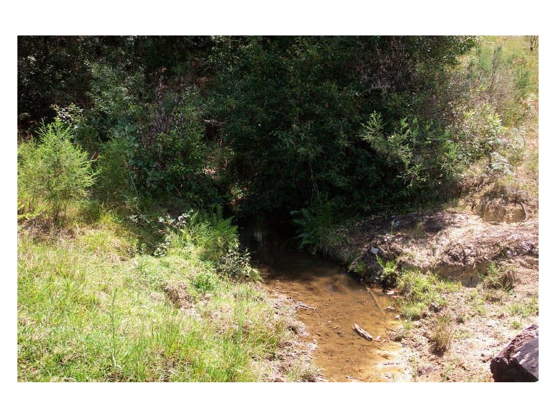 Elands NSW 2429