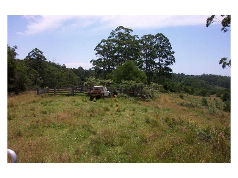 Elands NSW 2429