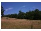 Elands NSW 2429
