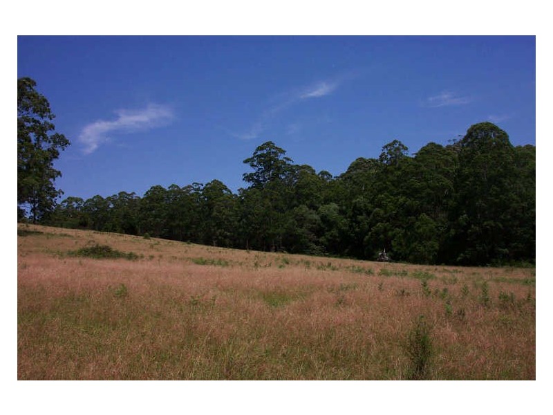 Elands NSW 2429