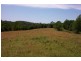 Elands NSW 2429