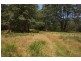 Elands NSW 2429