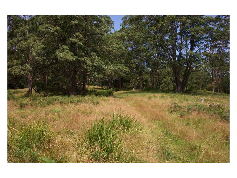 Elands NSW 2429
