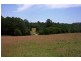 Elands NSW 2429