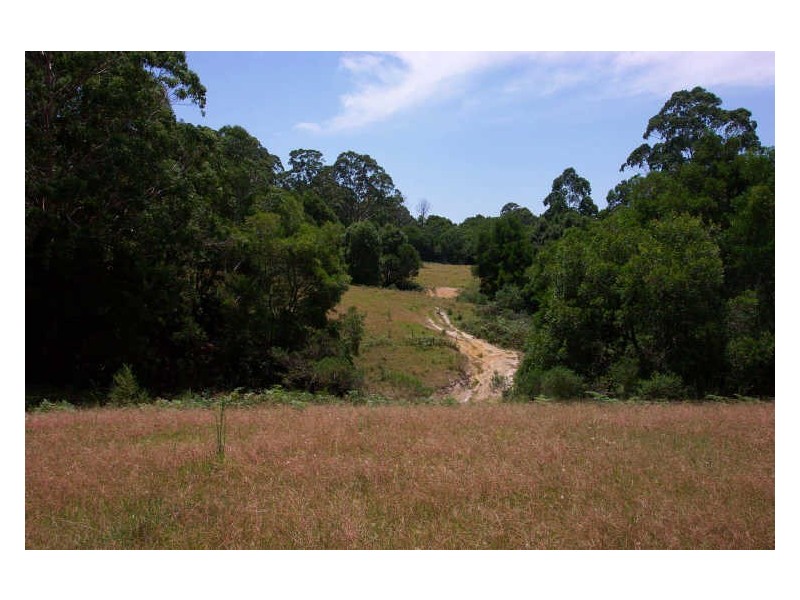 Elands NSW 2429