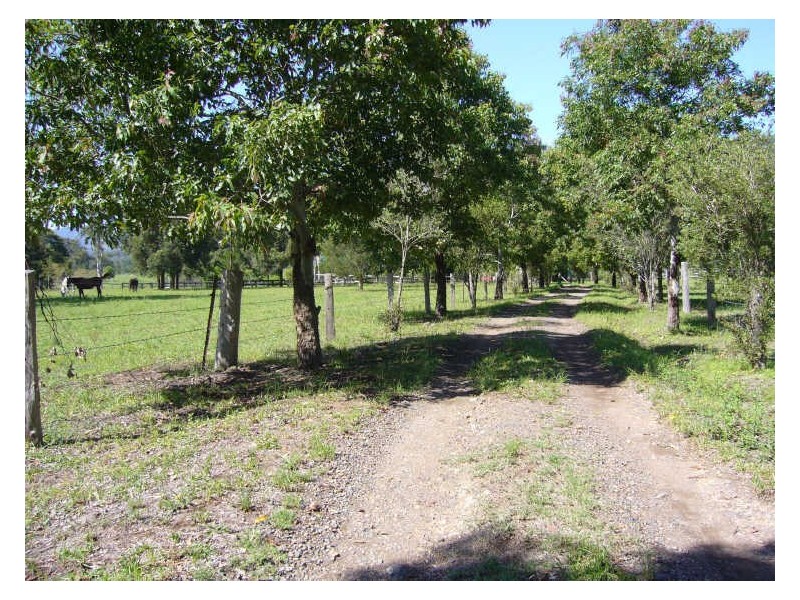 157 Somerset Road, Kimbriki NSW 2429