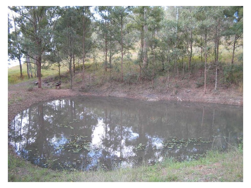 258 Tinonee Road, The Bight NSW 2429