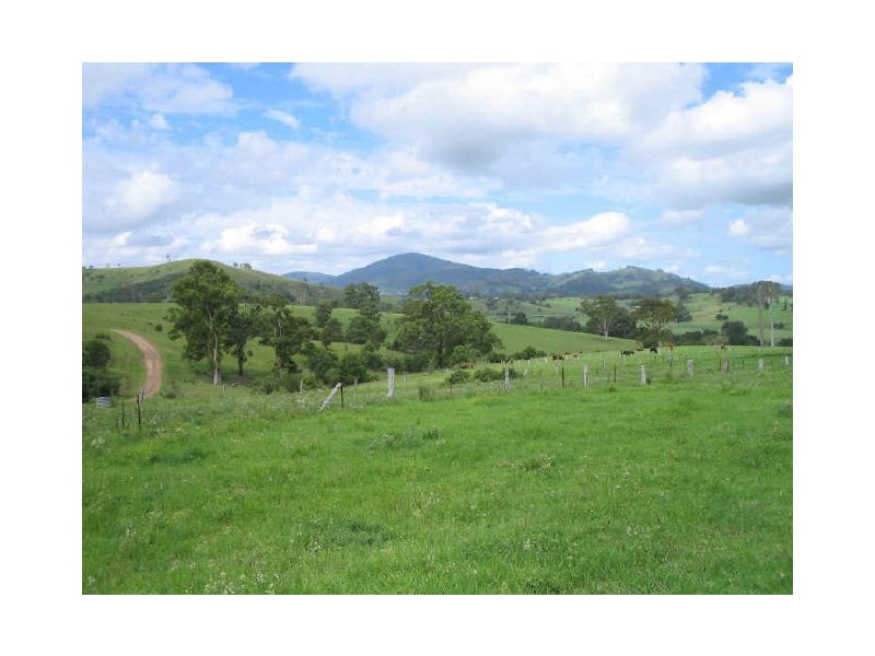 Karaak Flat NSW 2429